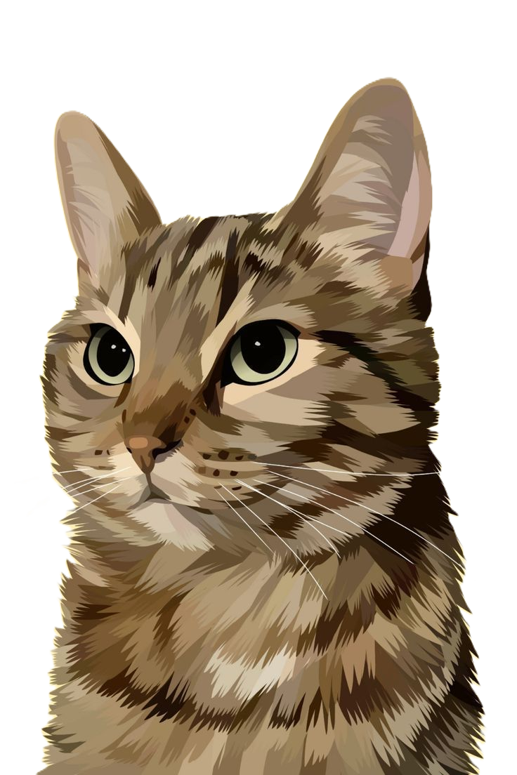 Gatos